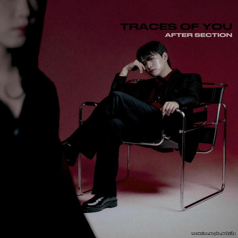 After Section - Traces of You cover art on Wallkpop