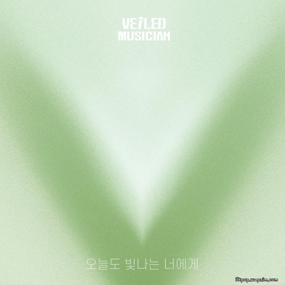 AILEE - 오늘도 빛나는 너에게 (To You My Light) (Veiled Musician X Ailee with Oryu-dong Hamster) cover art on Wallkpop