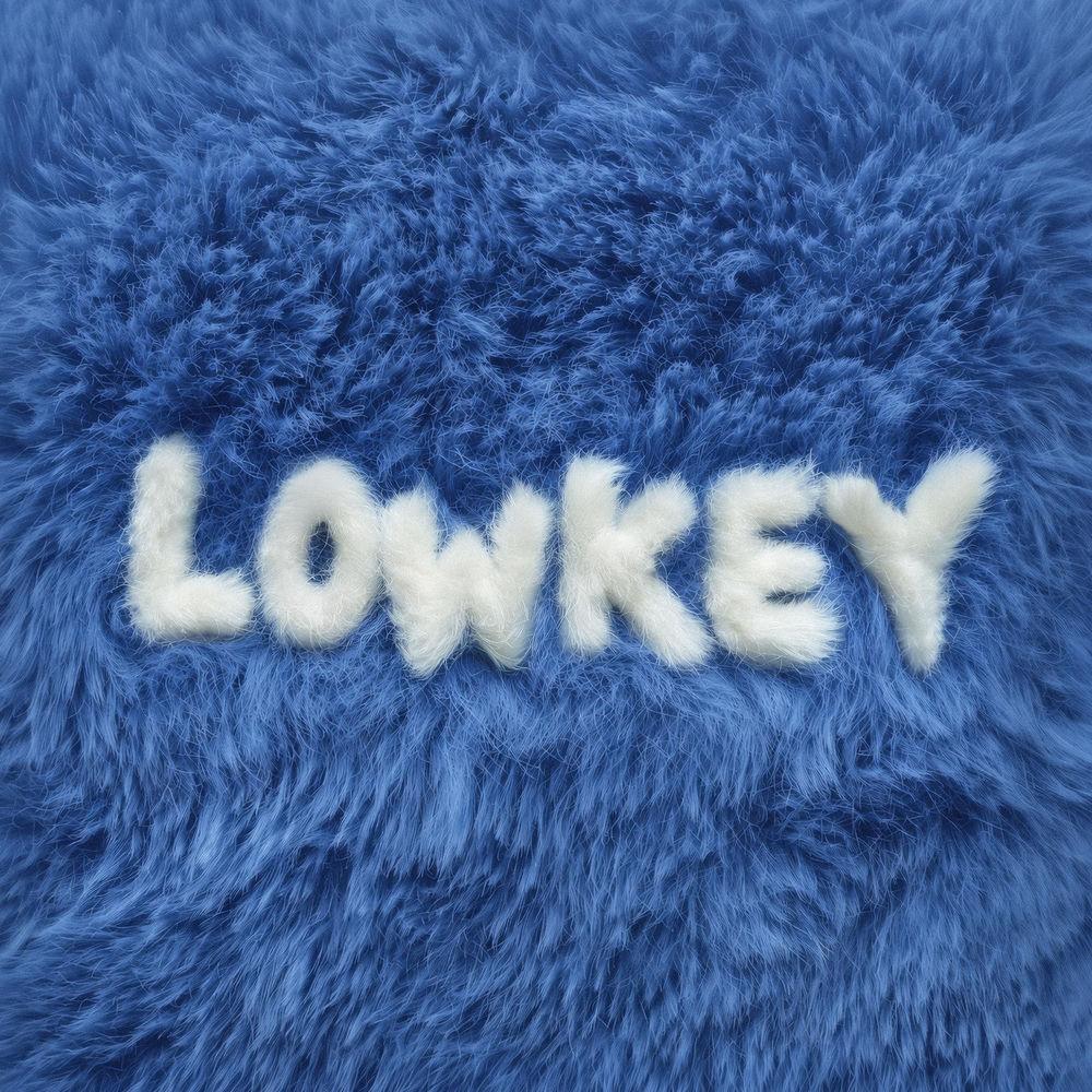 B THE HOOD - Lowkey cover art on Wallkpop
