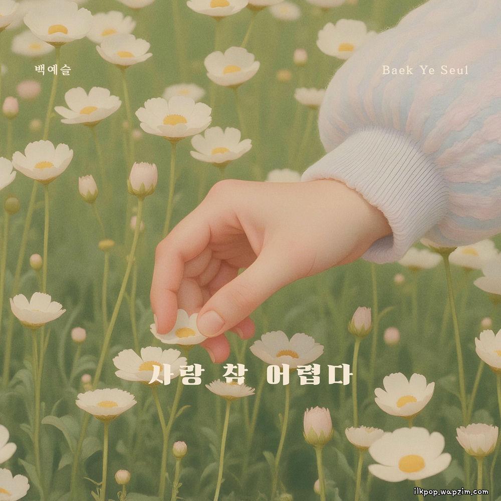 Baek Ye Seul - 사랑 참 어렵다 cover art on Wallkpop