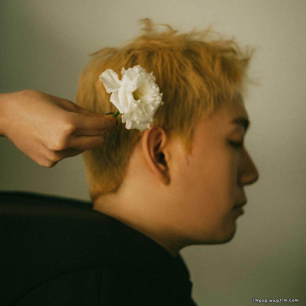 Bernard Park - 곁에 있어 (Stayed) cover art on Wallkpop