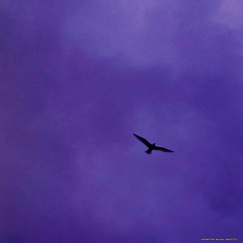 BIALYSTOCKS - Kotozute [Ending Ikoku Nikki] cover art on Wallkpop