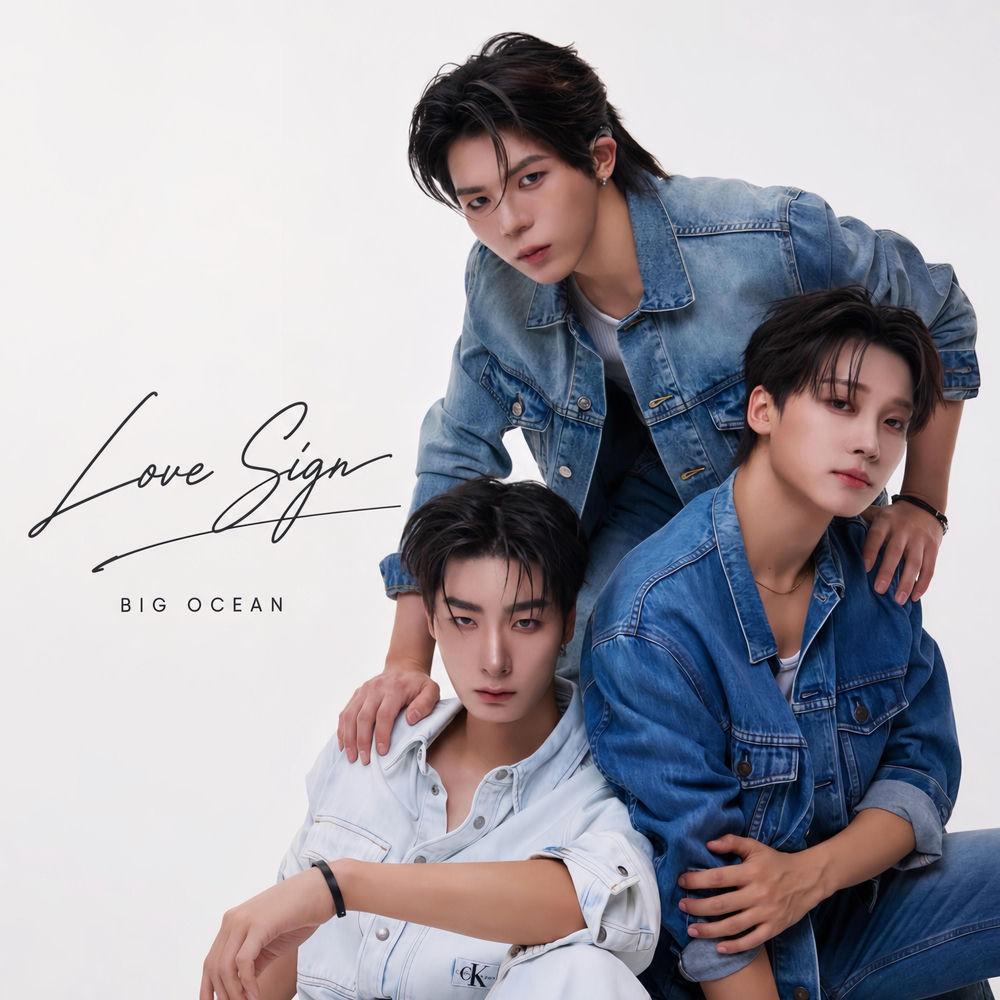 Big Ocean - Love Sign cover art on Wallkpop