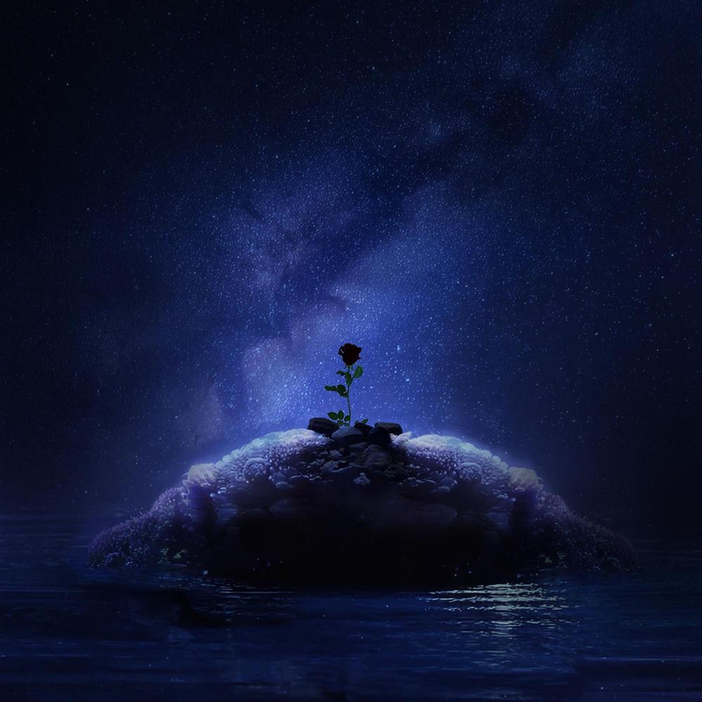 Blue.D - MacGuffin cover art on Wallkpop