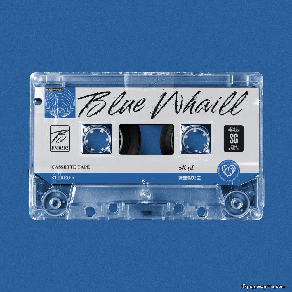 BLUE WHAILL - 별로일지도 (Maybe Nothing) cover art on Wallkpop