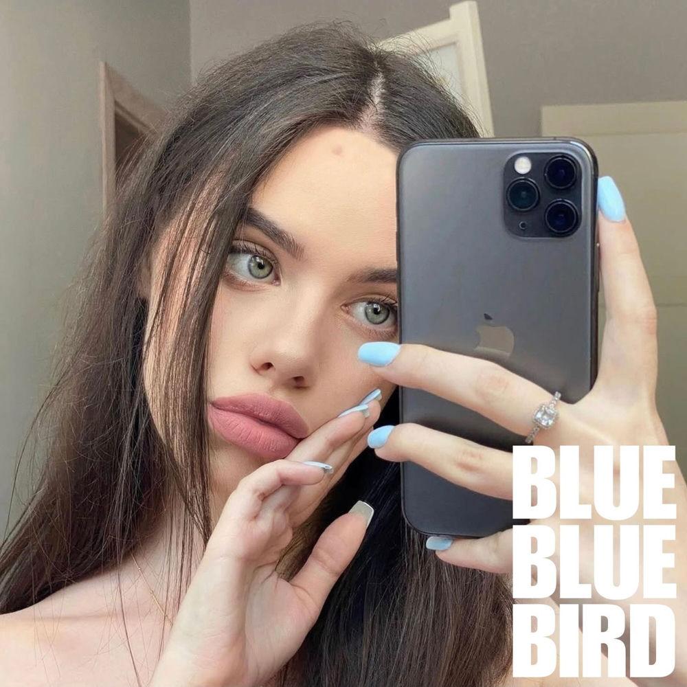 bluebluebird - GOODBYEMYLOVE cover art on Wallkpop