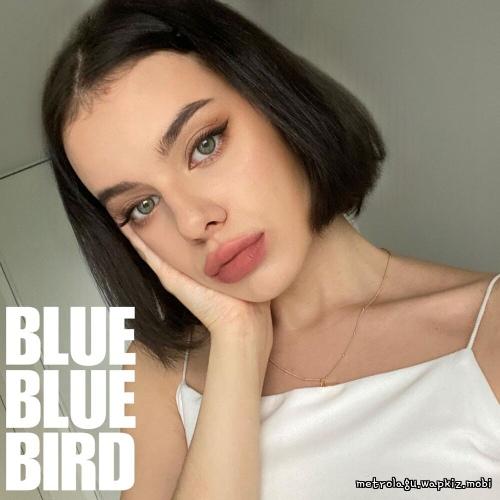 bluebluebird - midsummer cover art on Wallkpop