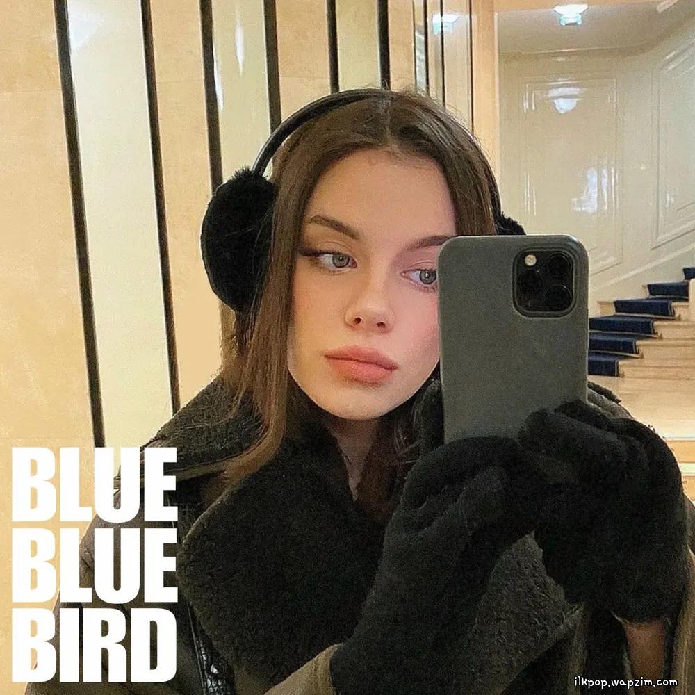 bluebluebird - white cover art on Wallkpop
