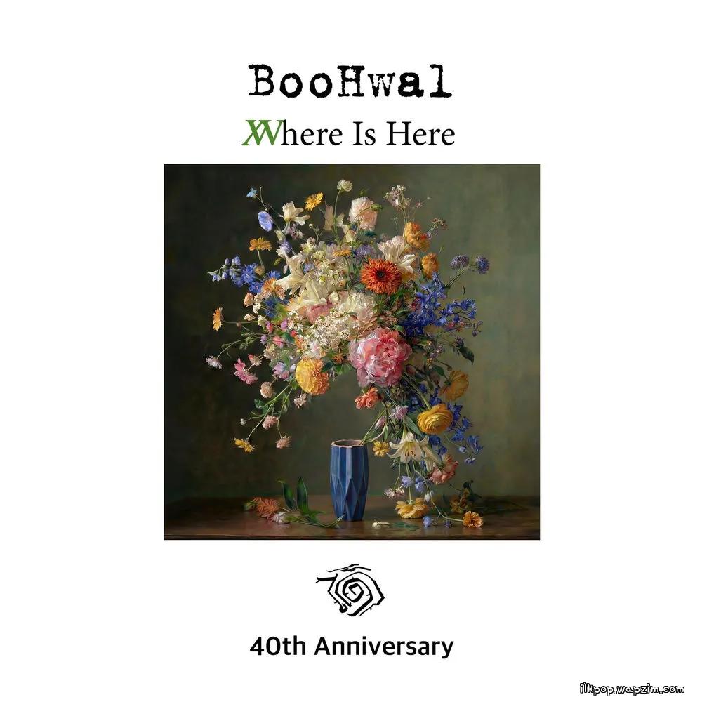 Boohwal - 천국에서 (From Heaven) (Feat. Shin Hae Chul) cover art on Wallkpop