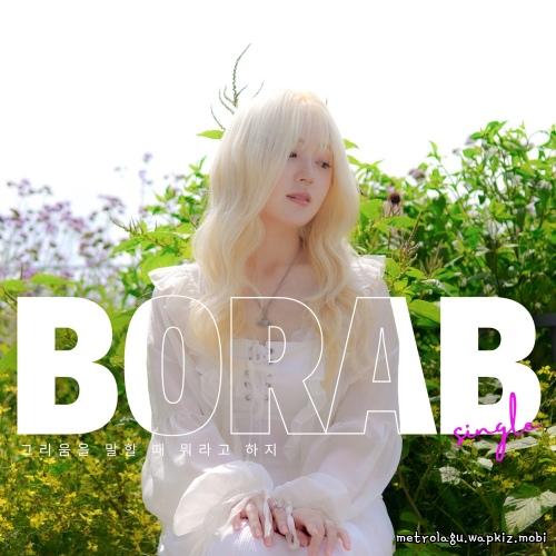 BORA B - 그리움을 말할 때 뭐라고 하지 (Missing Words) cover art on Wallkpop