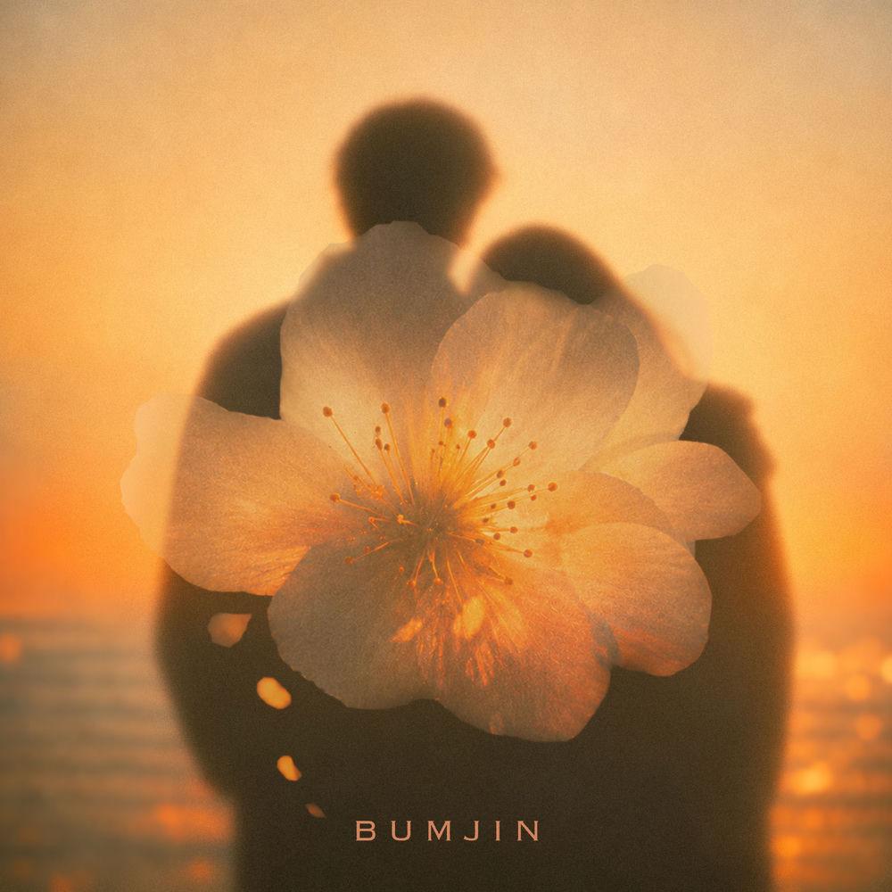 BUMJIN - 그대라면 (If You) cover art on Wallkpop