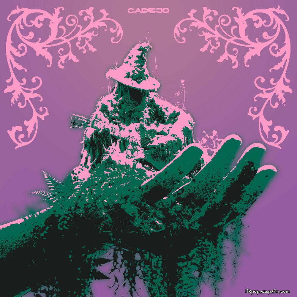 CADEJO - 장중지림 掌中之林 (in your forest) cover art on Wallkpop