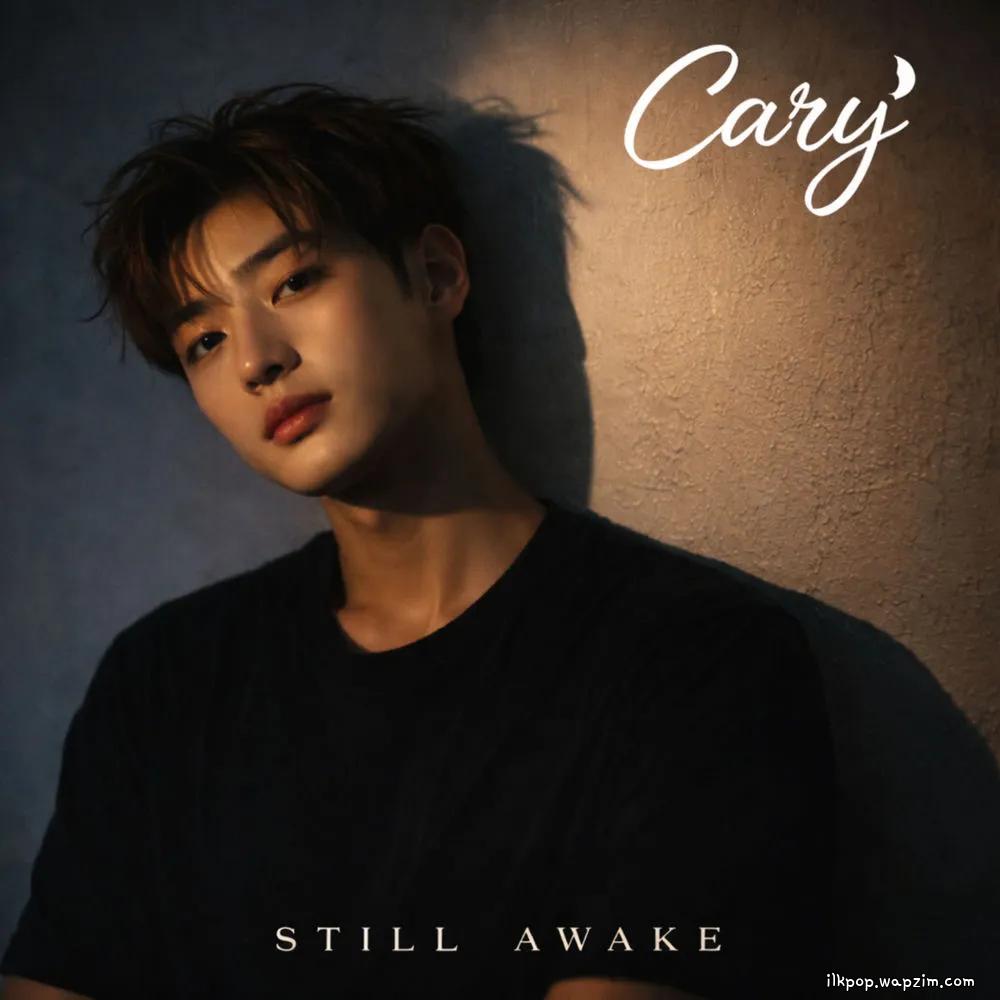 CARY - Still Awake cover art on Wallkpop