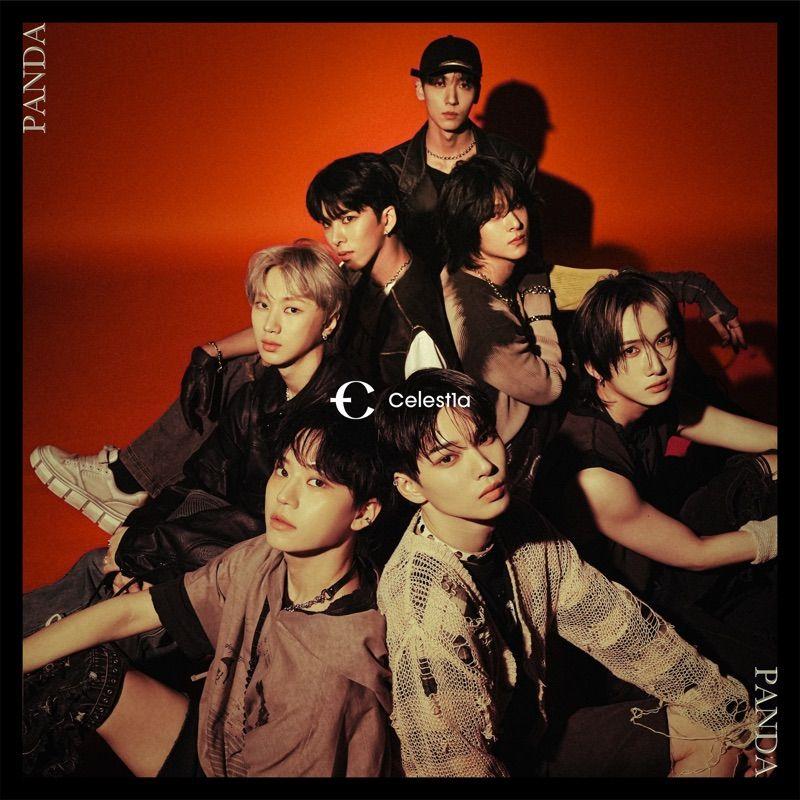 PANDA album cover by Celestia on Wallkpop