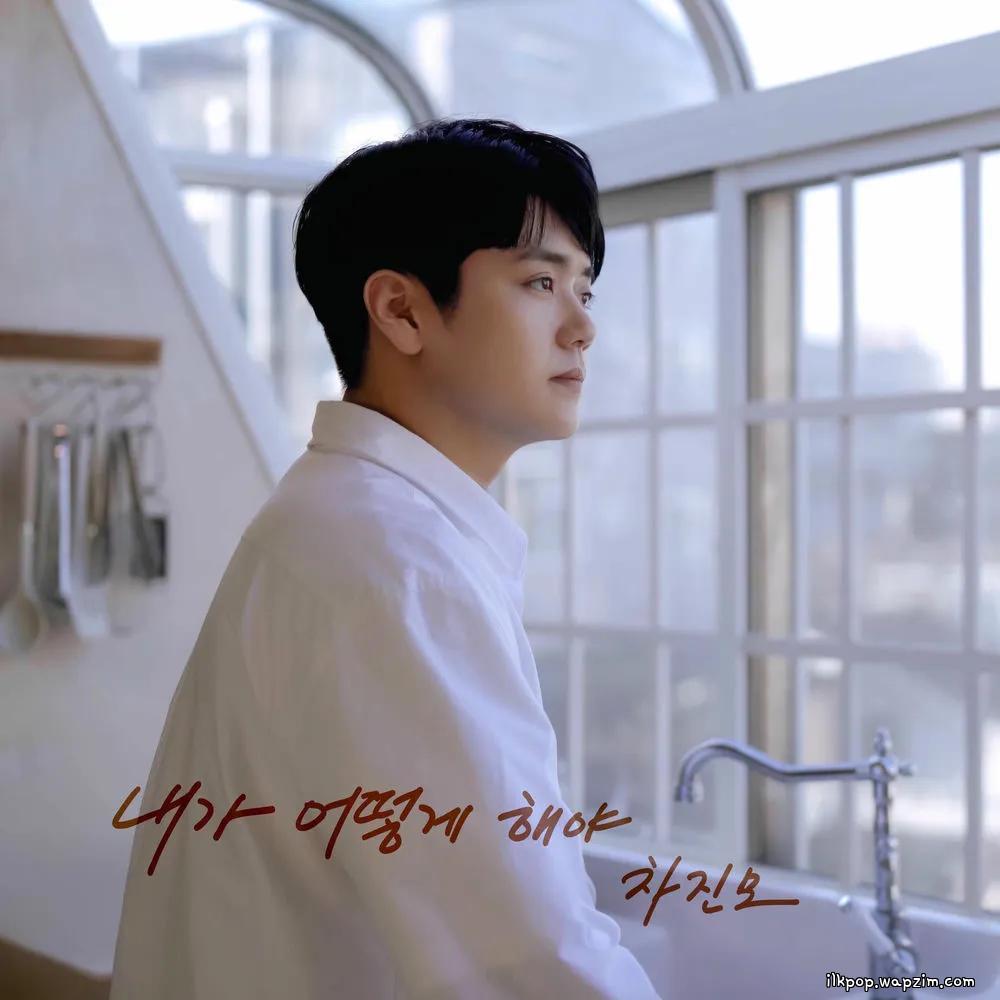 Cha Jin Mo - 내가 어떻게 해야 (What Can I Do for You) cover art on Wallkpop