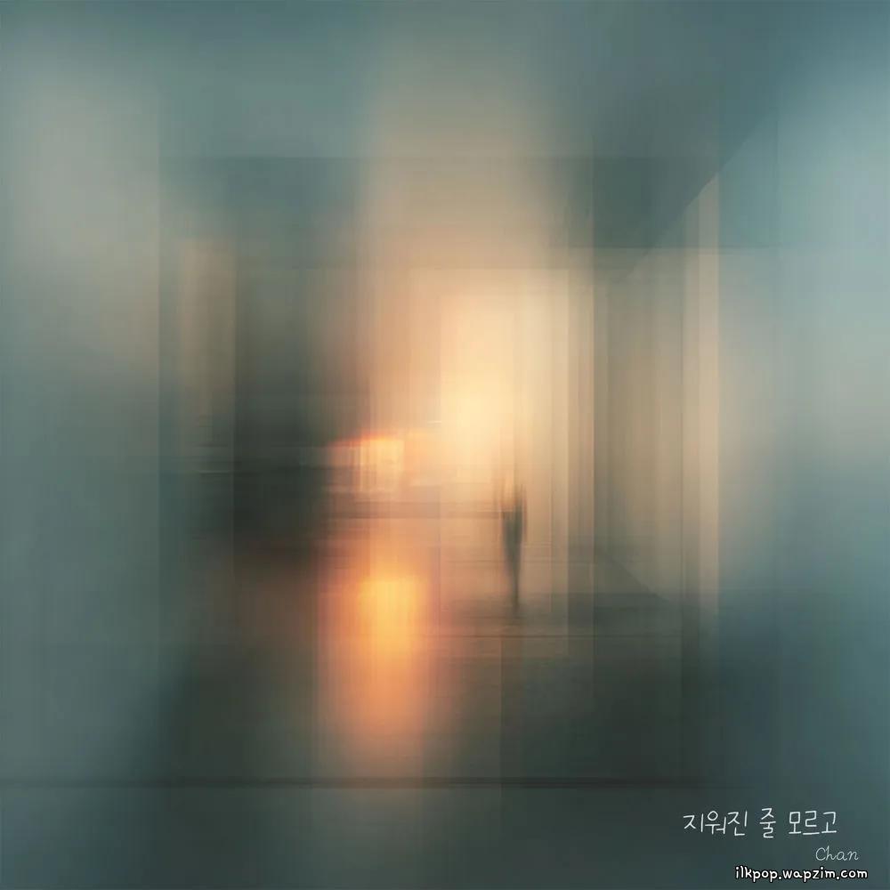 Chan - 지워진 줄 모르고 (I didn't know it was erased) cover art on Wallkpop