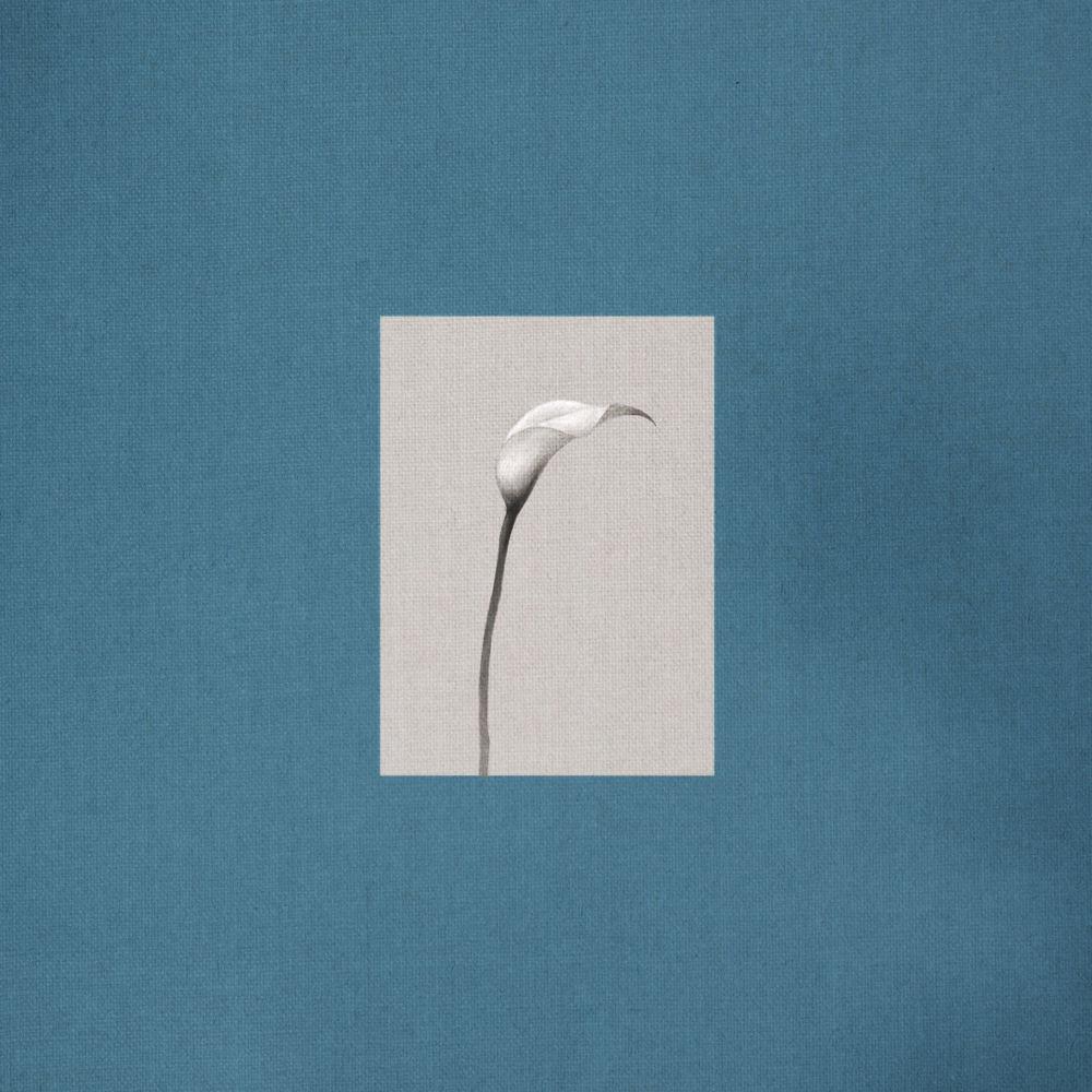 Choi Yu Ree - 도약 (Higher) cover art on Wallkpop