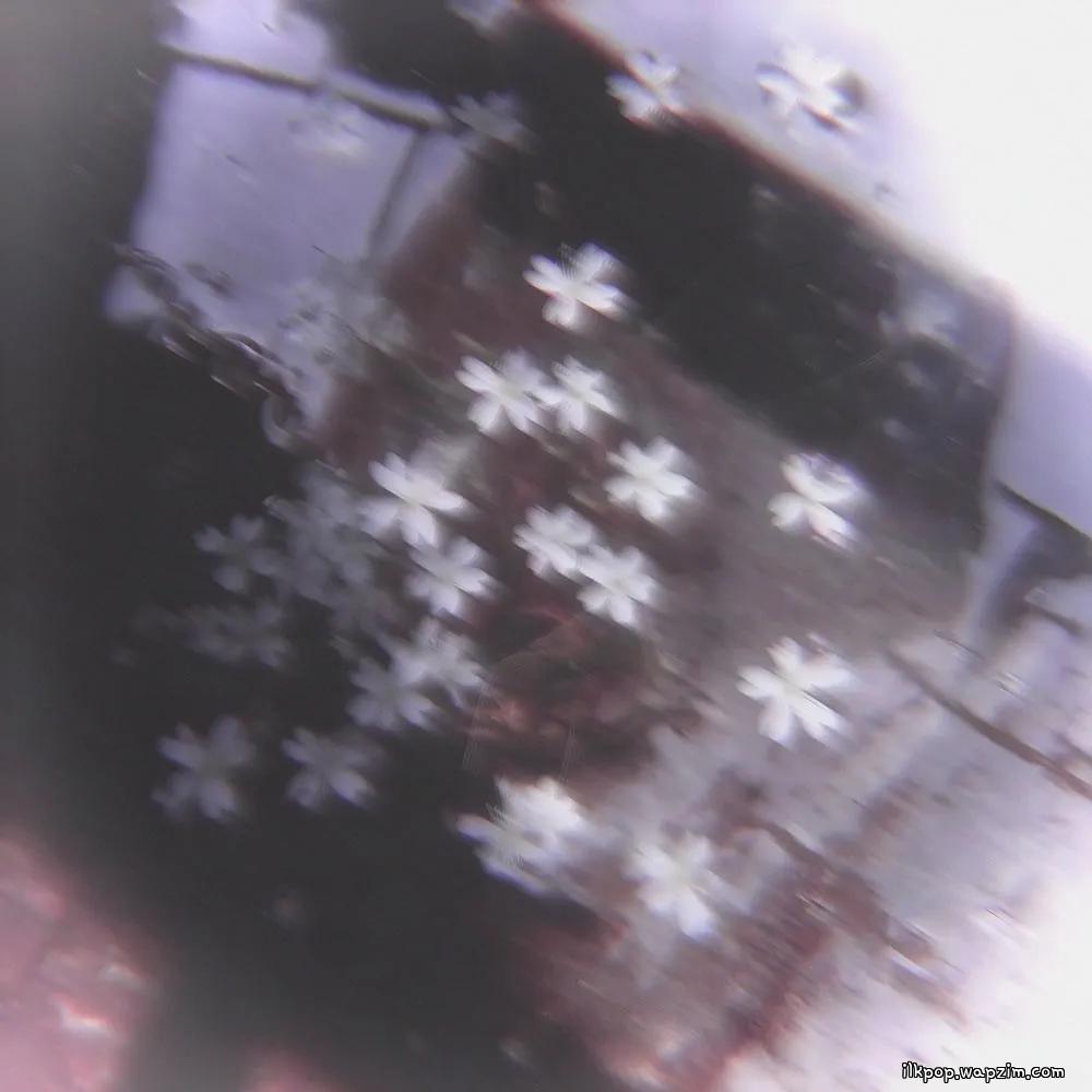 COL - 괜히 (Already) cover art on Wallkpop