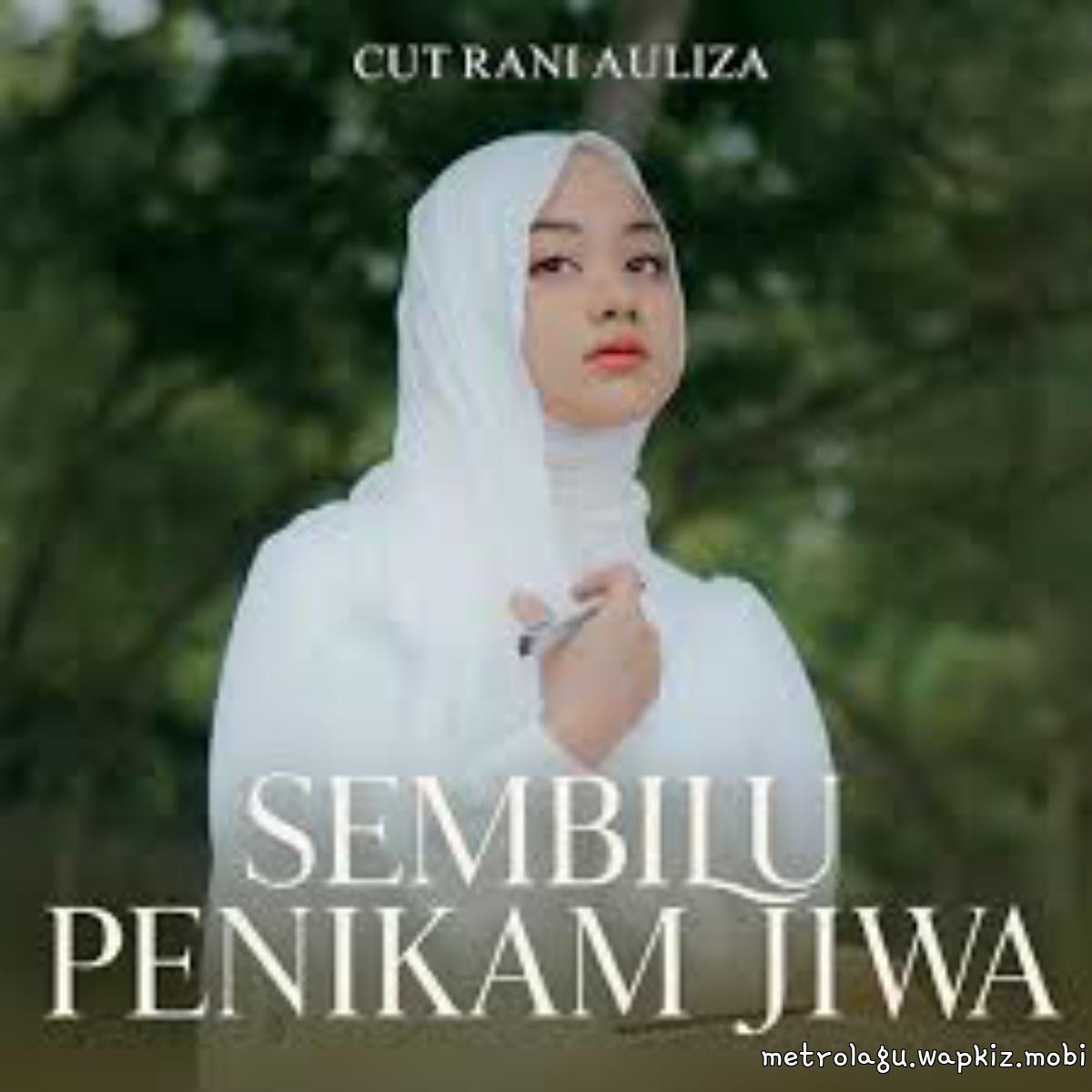 Cut Rani Auliza - Sembilu Penikam Jiwa cover art on Wallkpop