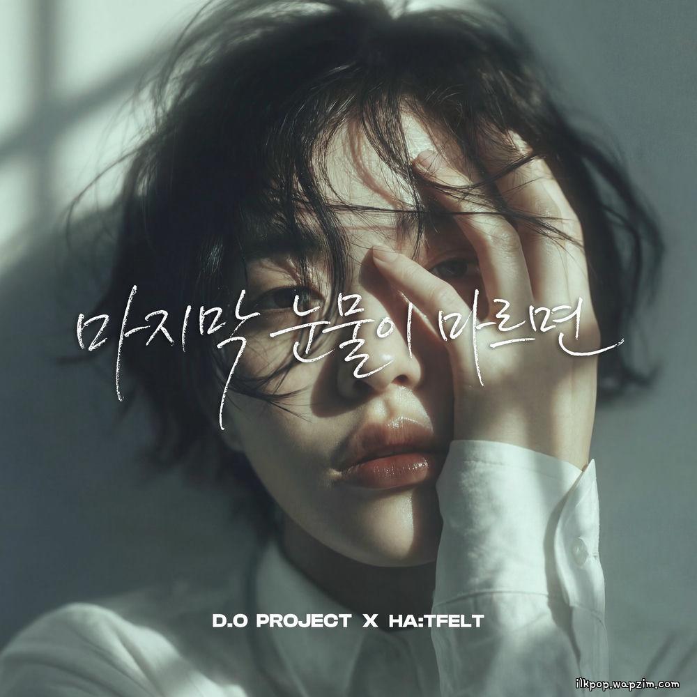 D.O - 마지막 눈물이 마르면 (When the Last Tear Dries) [Feat. HA:TFELT] cover art on Wallkpop