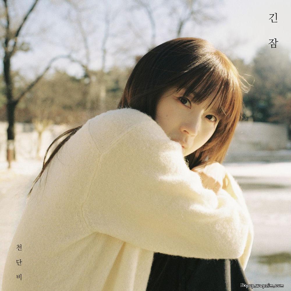 Danbi Cheon - 긴 잠 (A Longer Dream) cover art on Wallkpop