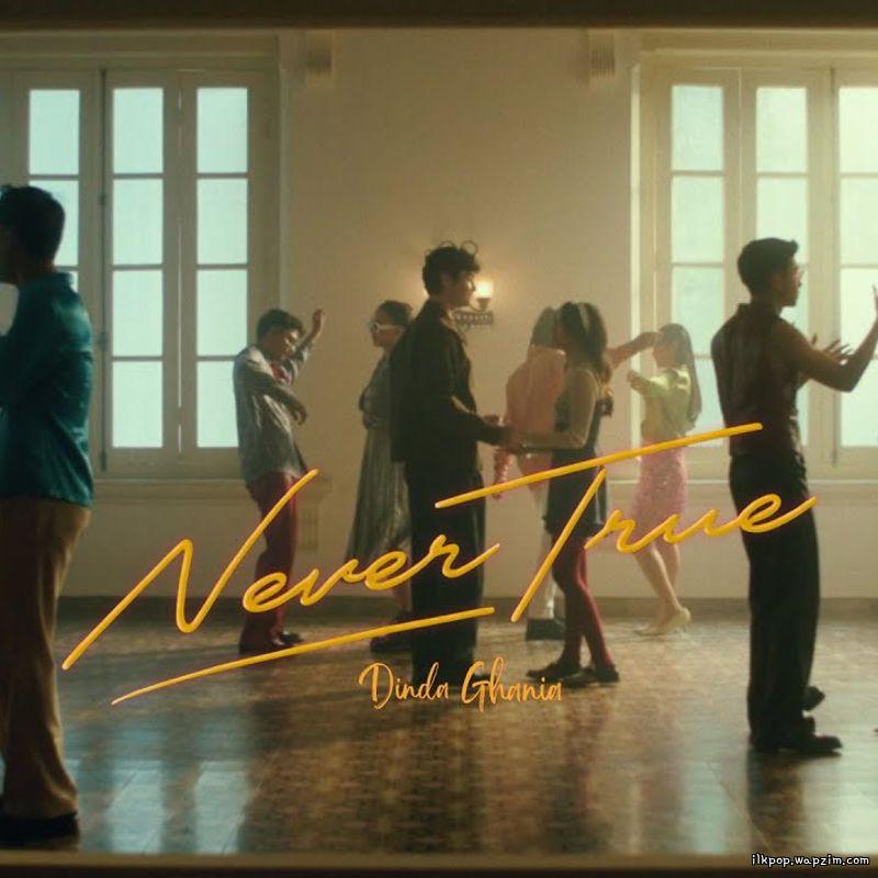 Dinda Ghania - Never True cover art on Wallkpop