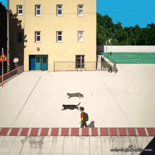 eAeon - 조퇴 (Half Day) cover art on Wallkpop