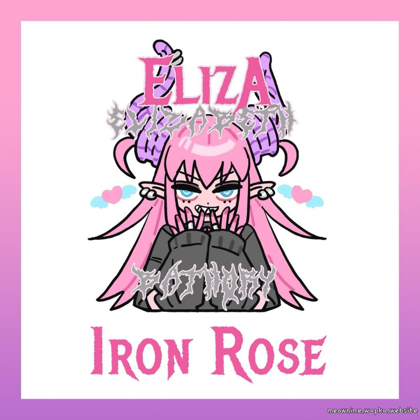 Elizabeth Báthory (CV: Rumi Ookubo) - Iron Rose [Theme Song Fate/Grand Order] cover art on Wallkpop
