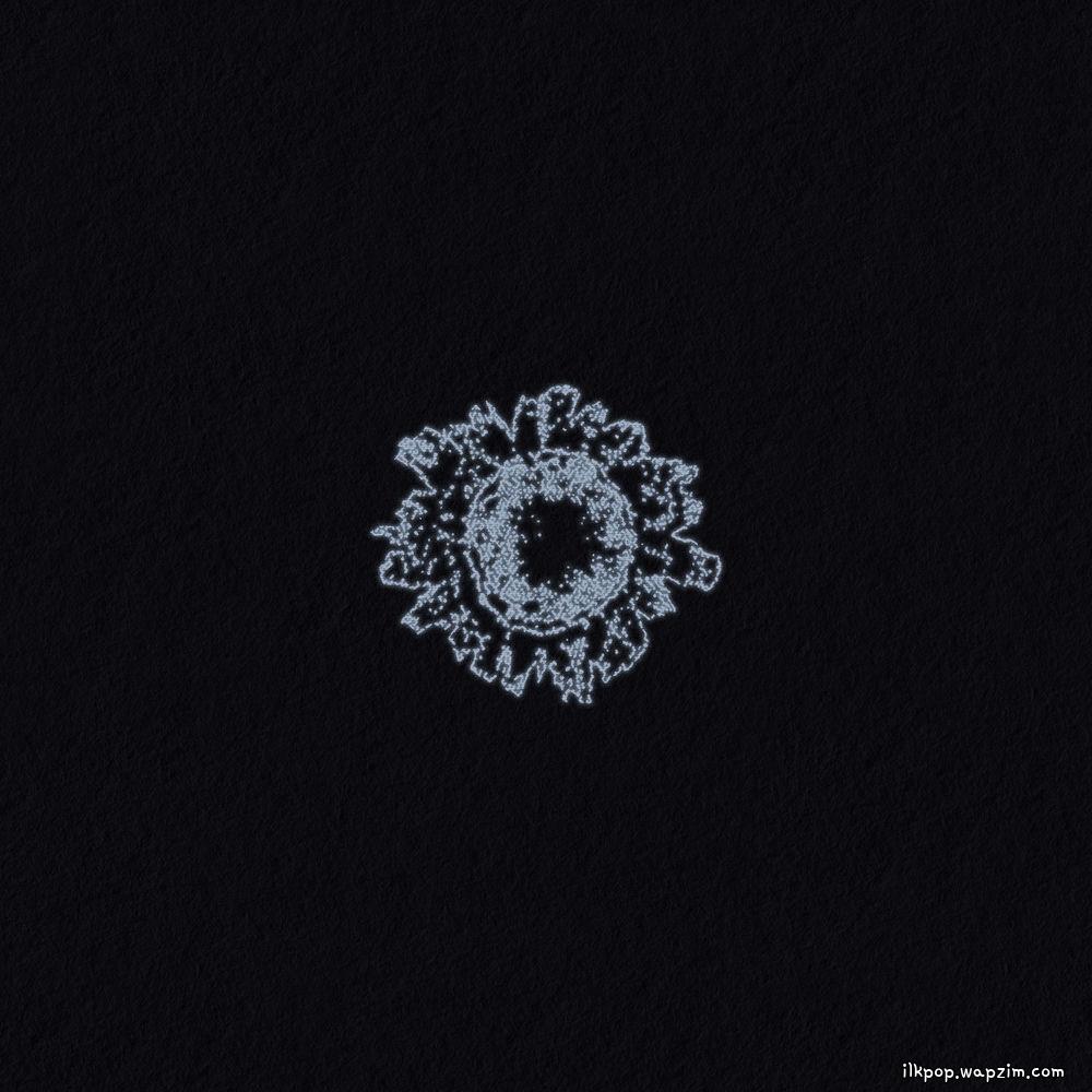 Gongwon - 곰팡이 (Flower) cover art on Wallkpop