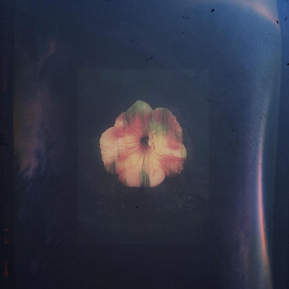 GYE0M & Mingginyu - 잿빛의 노래 (Ashen Song) cover art on Wallkpop