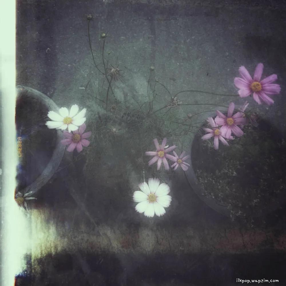 GYE0M - 결국엔 사랑 (Love, After All) cover art on Wallkpop