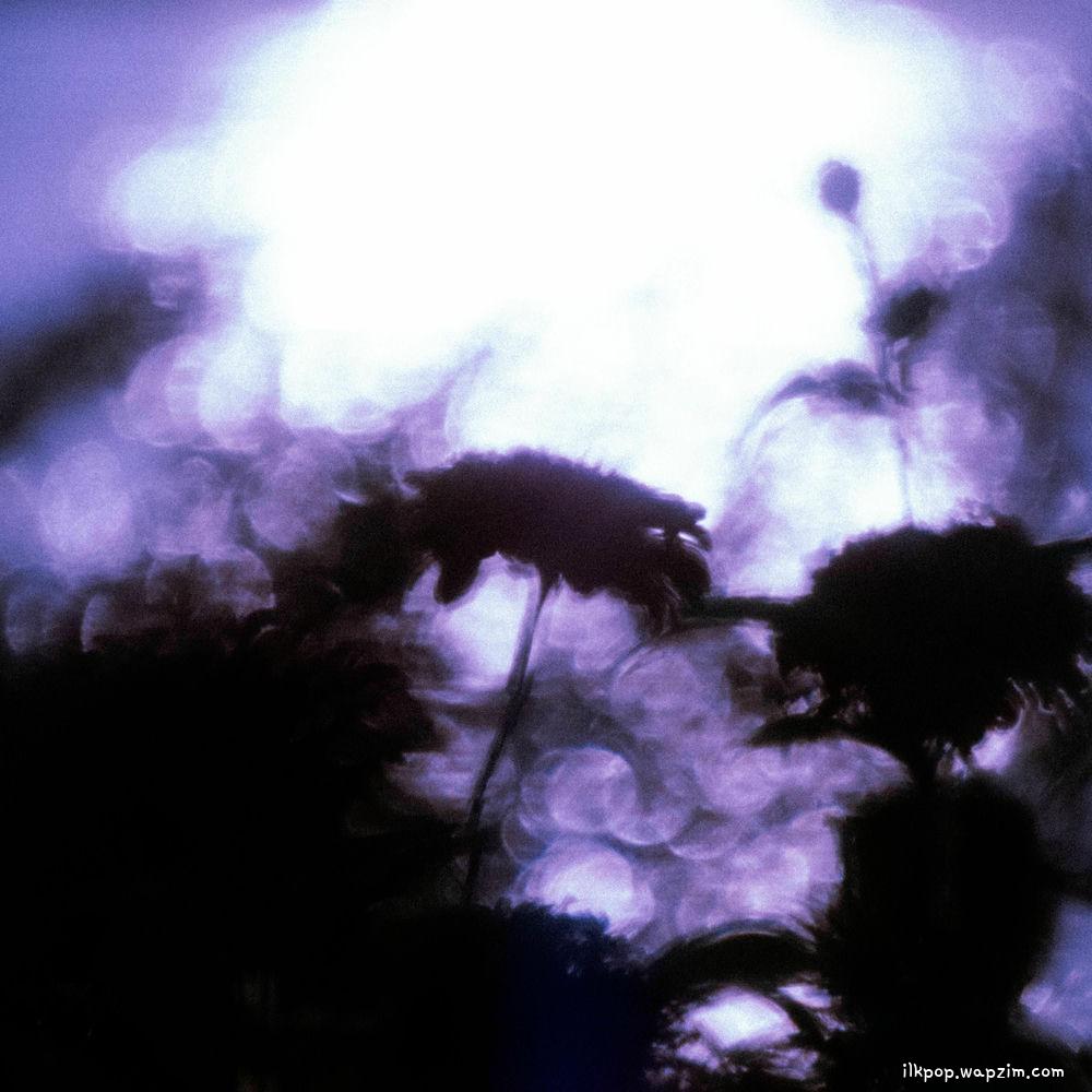 GYE0M - 푸름과 꿈과 우리 (Of Blue, Dreams, and Us) cover art on Wallkpop