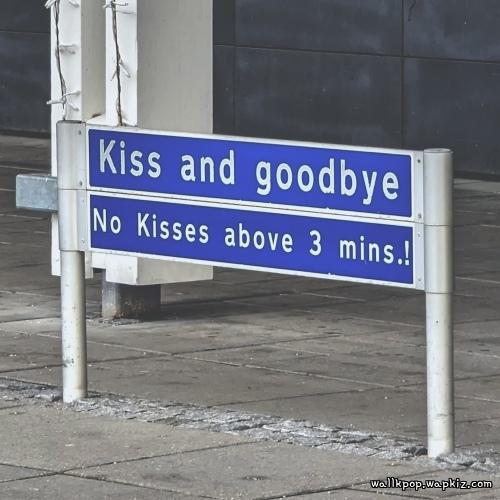 haan. - Goodbye My Dear Lover cover art on Wallkpop