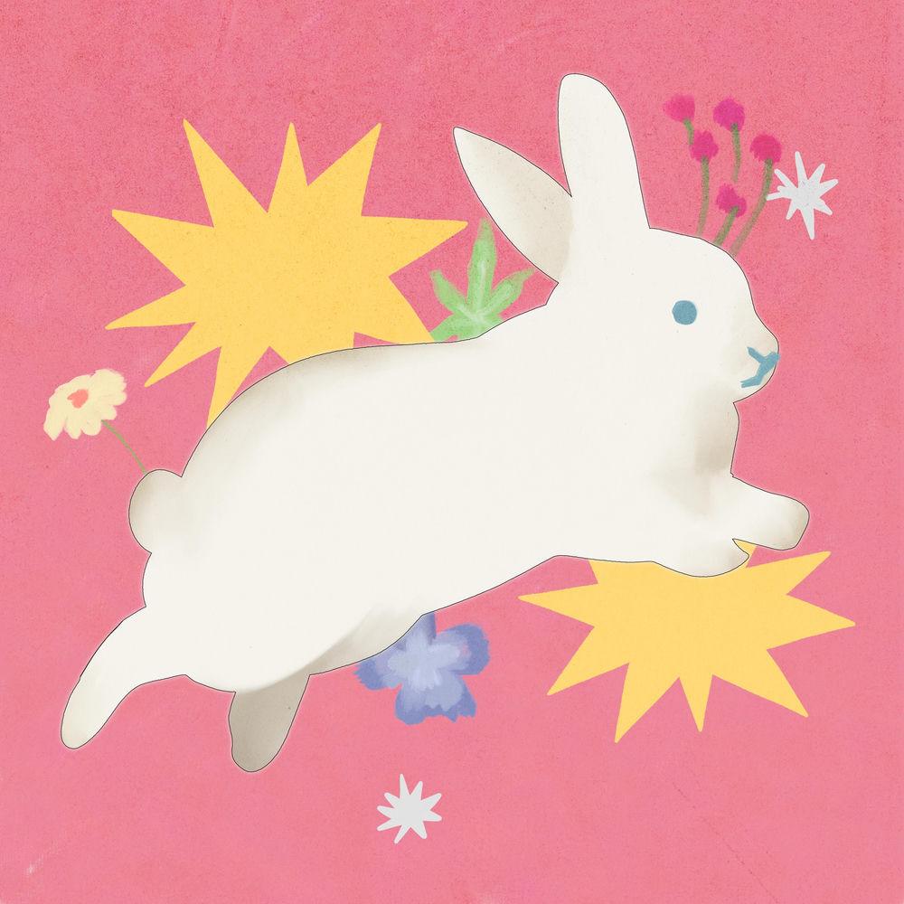 HAE - Rabbit Hole (feat. Choah) cover art on Wallkpop
