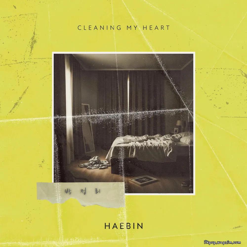 HAEBIN - 방정리 (Cleaning My Heart) cover art on Wallkpop