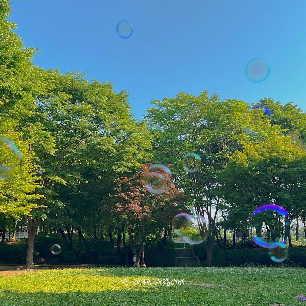 Han All - 넌 내게 사랑이야 (To me, You are Love) cover art on Wallkpop