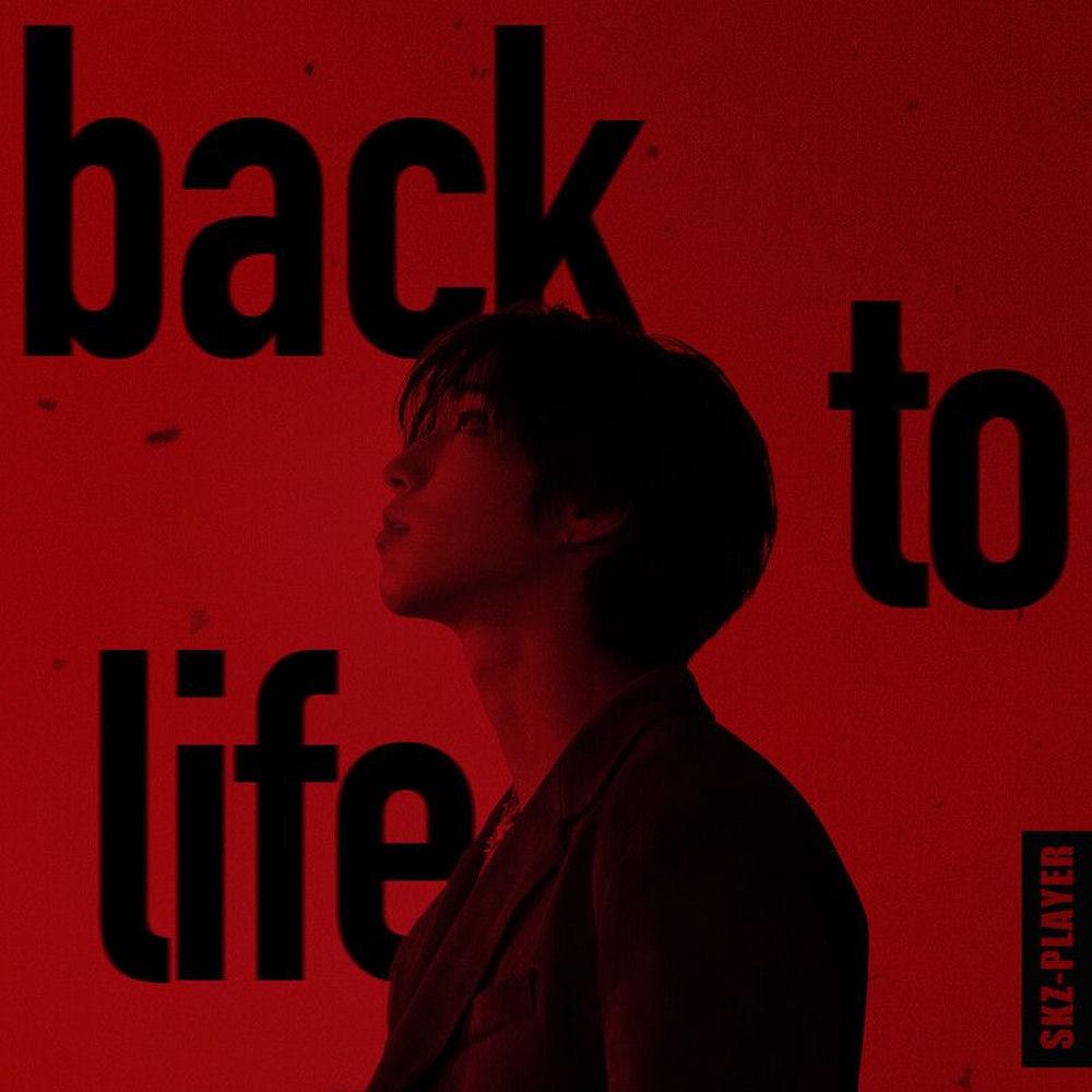 Han (Stray Kids) - Back To Life cover art on Wallkpop