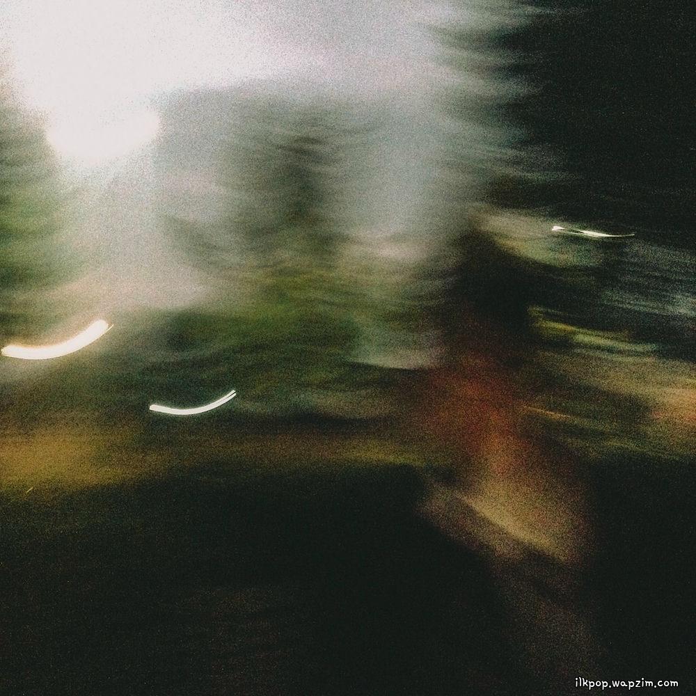 hartts - dalmatian cover art on Wallkpop