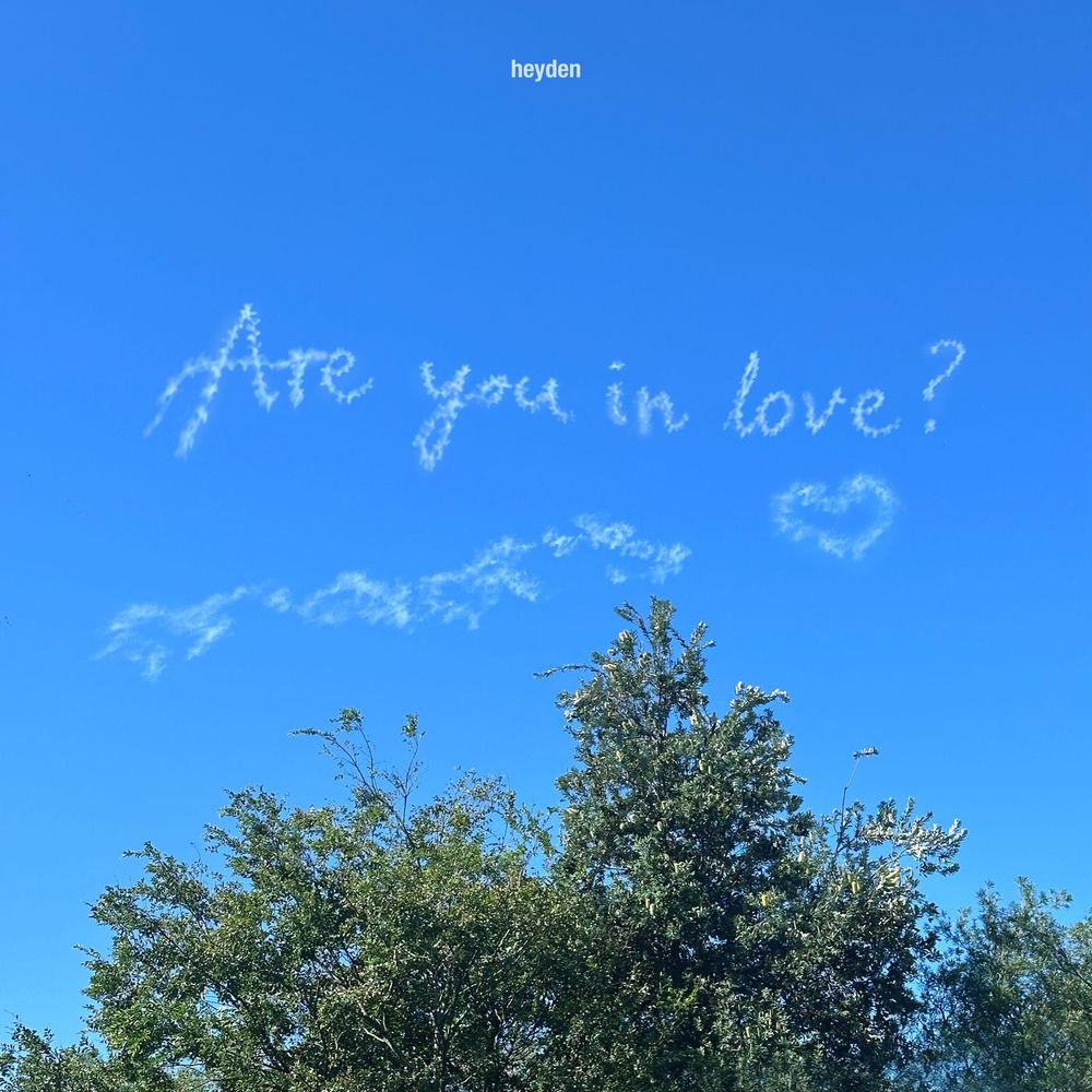 heyden & oddfish - Are you in love? cover art on Wallkpop