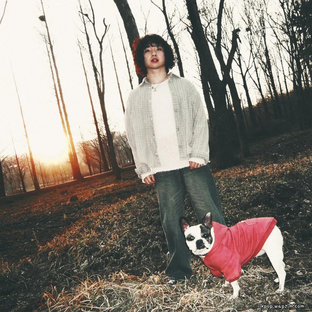 Hollow Young - 이대로 있어 줘 (Stay Like This) cover art on Wallkpop
