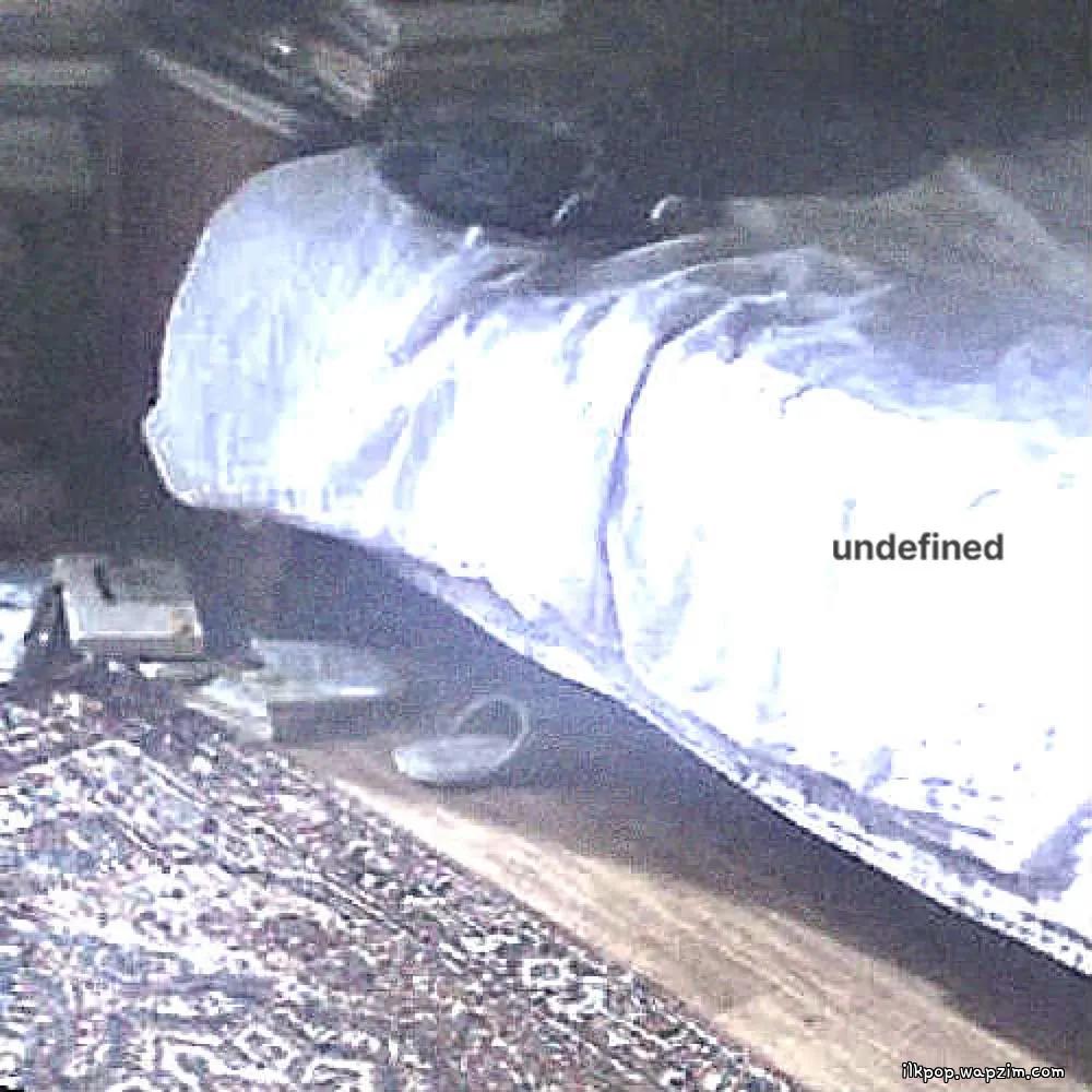imzoo - undefined cover art on Wallkpop