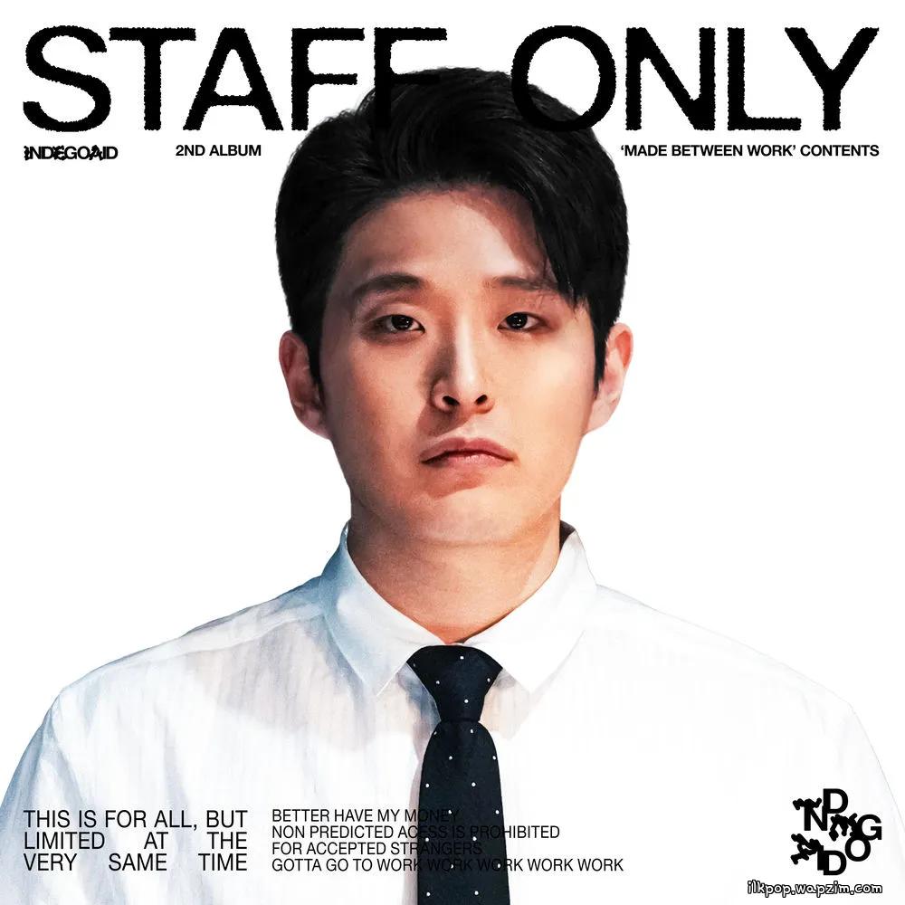 INDEGOAID - 고투웍 (WORK) cover art on Wallkpop