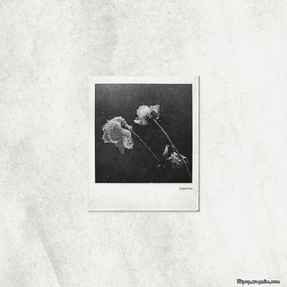 Jae Woo AN - 이별과 사랑 사이 (Between Love and Goodbye) cover art on Wallkpop