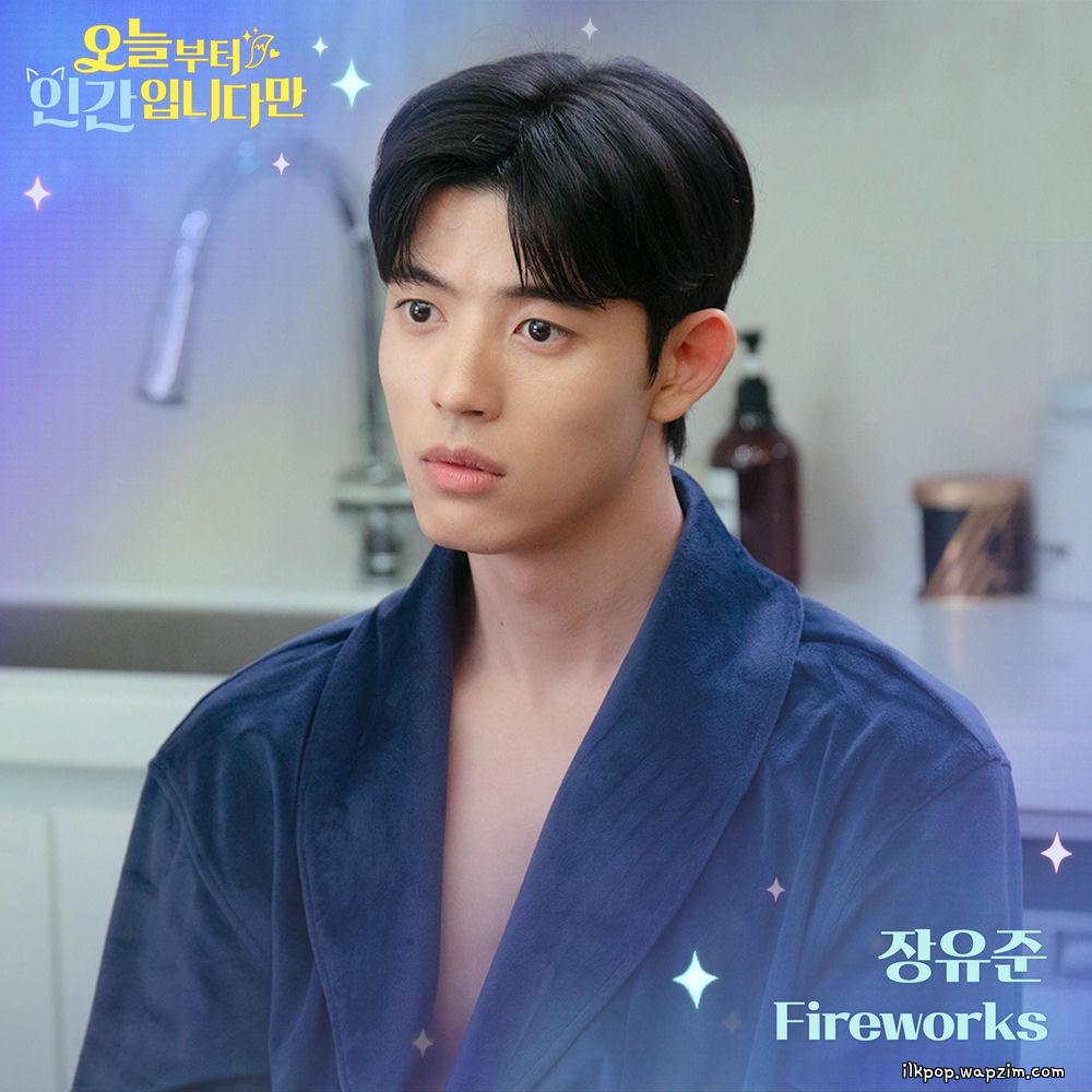 Jang Yoo Joon - Fireworks cover art on Wallkpop