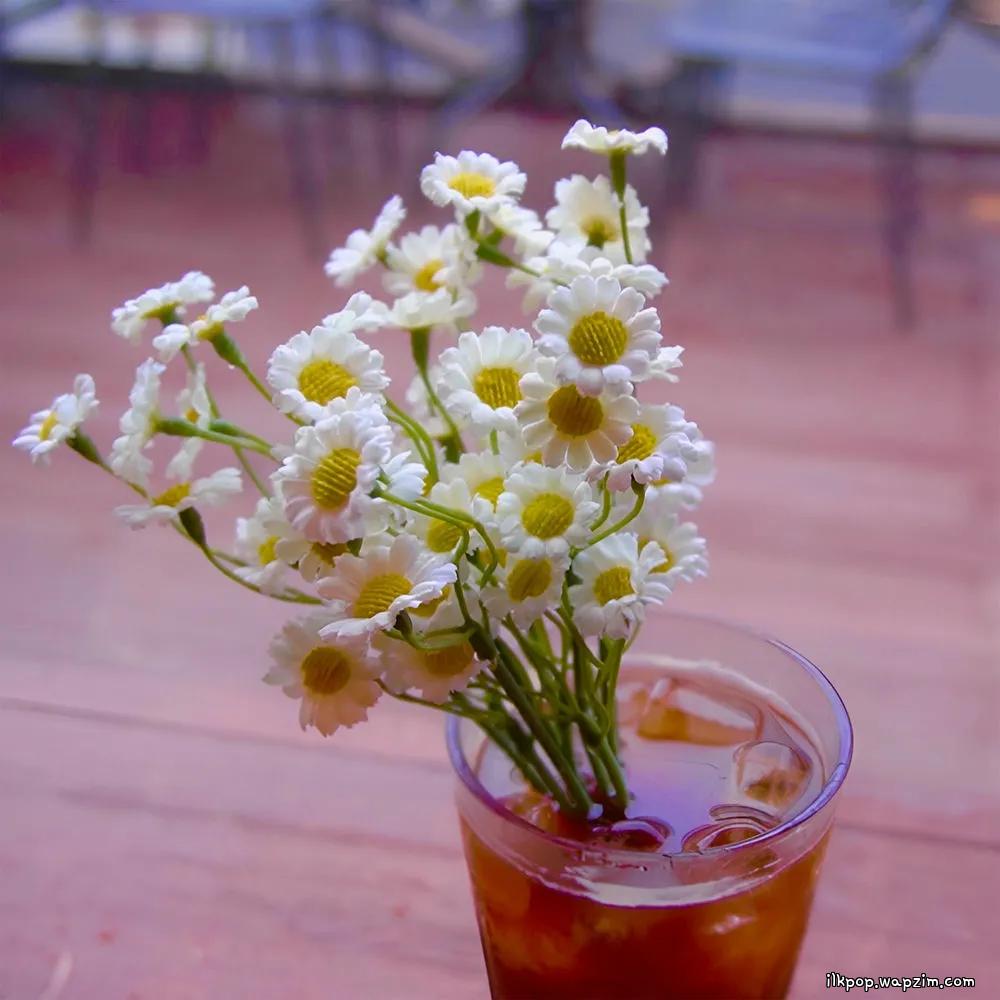 JayBrown - 내 마음은 커피 (Coffee and a Daisy) cover art on Wallkpop