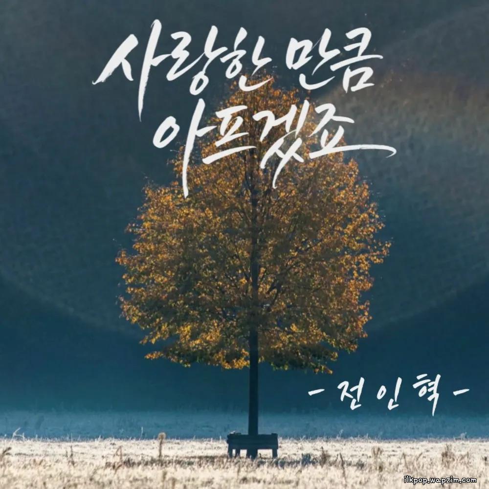 JEON IN HYUK - 사랑한 만큼 아프겠죠 (AS Much as I Loved) cover art on Wallkpop