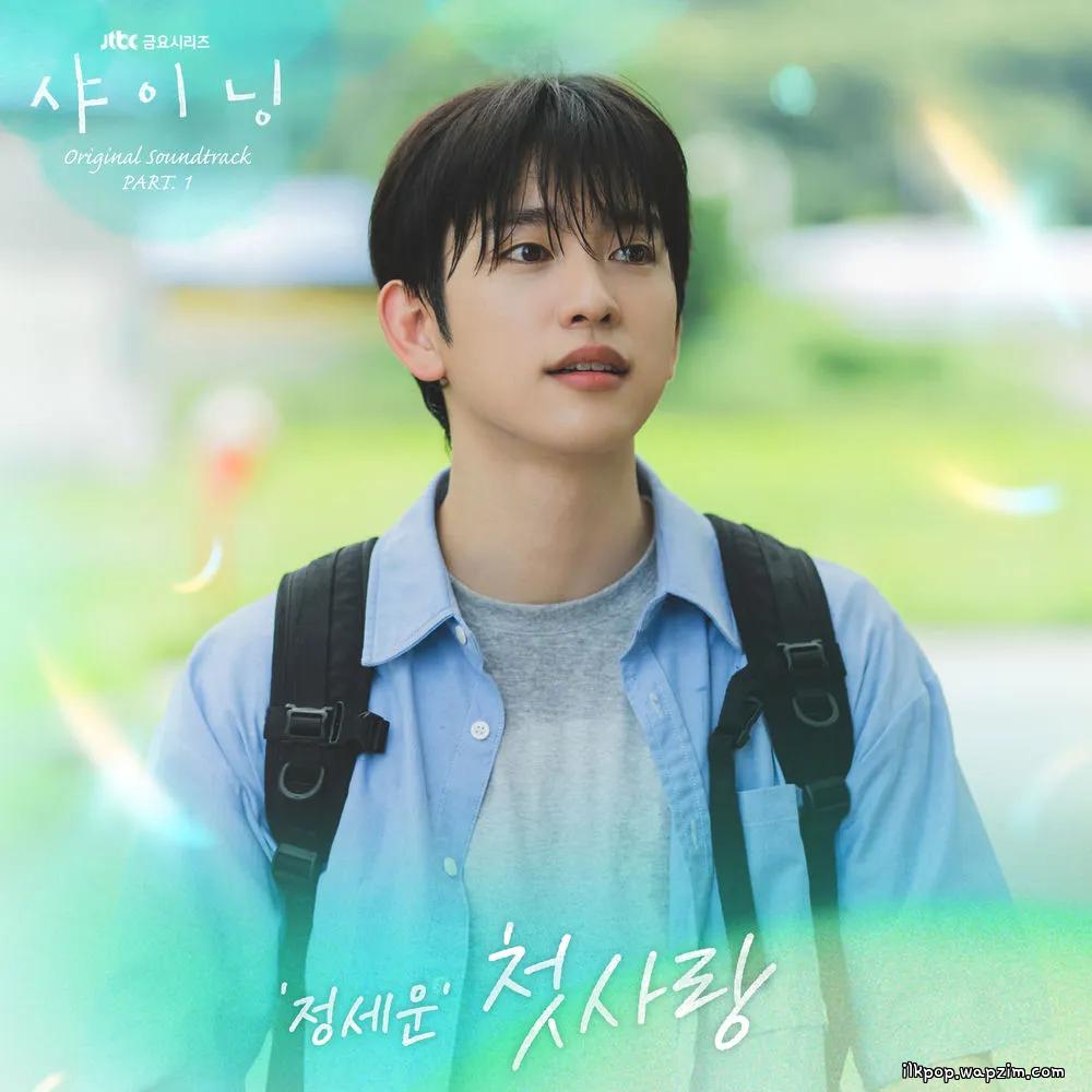 JEONG SEWOON - 첫사랑 (First Love) cover art on Wallkpop