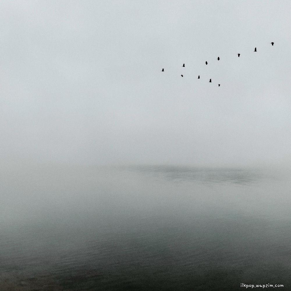 JIYE - 작은새 (Songbird) cover art on Wallkpop