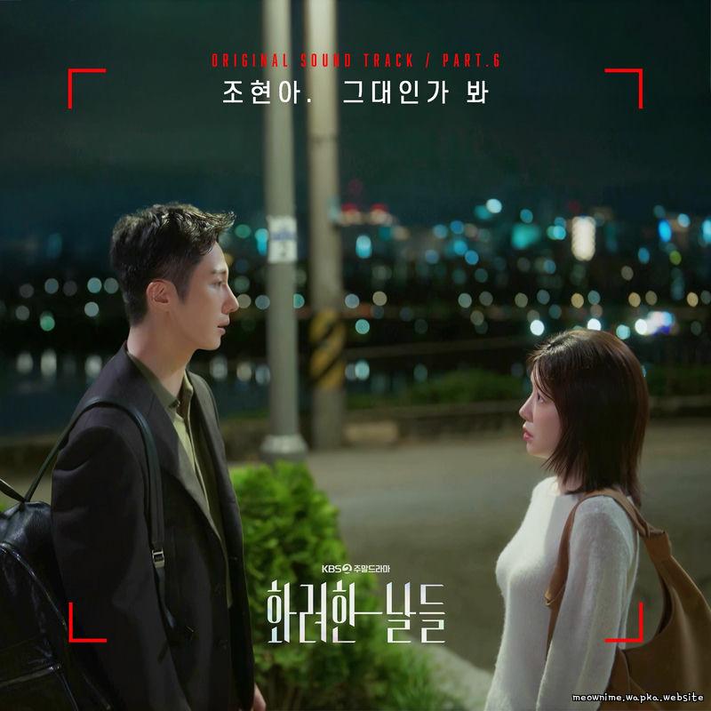 Jo Hyun Ah (Urban Zakapa) - 그대인가 봐 (May You) cover art on Wallkpop