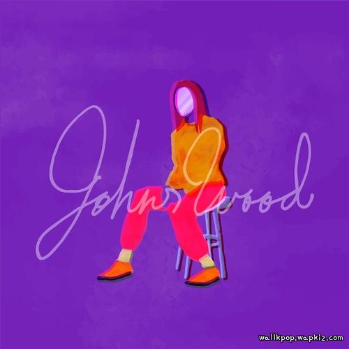 JOHNSWOOD - Plastic Paradise cover art on Wallkpop